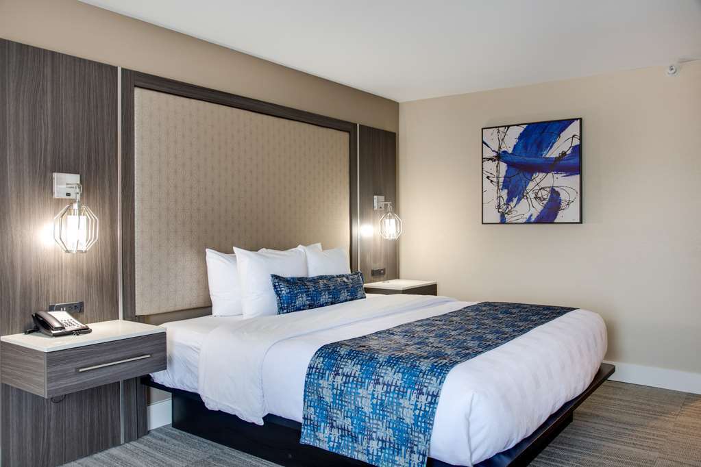 Best Western Plus Greenville I-385 Inn & Suites Номер фото