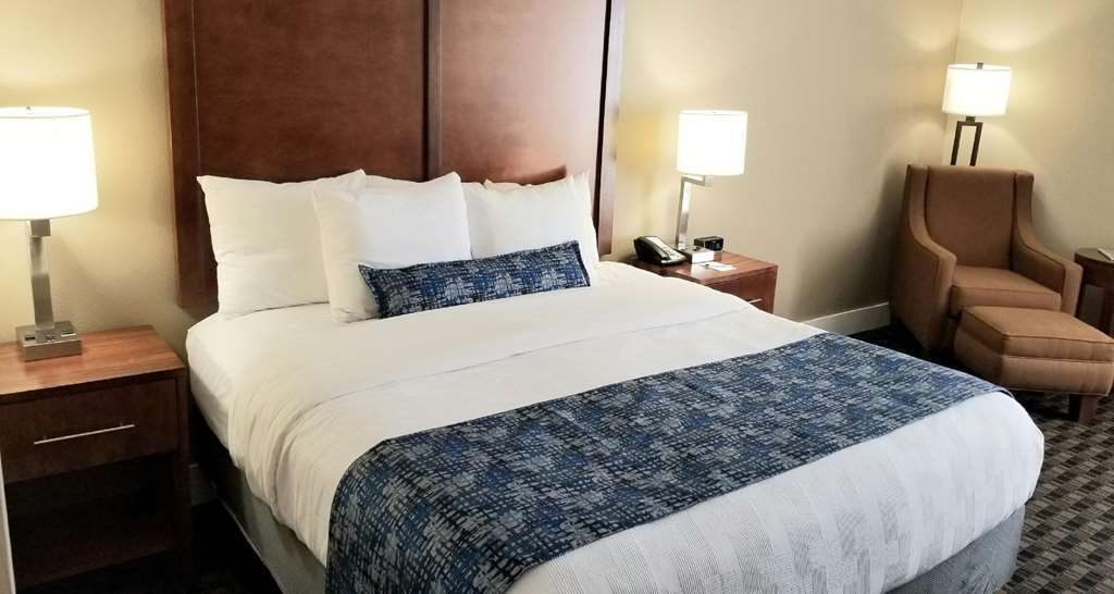 Best Western Plus Greenville I-385 Inn & Suites Номер фото