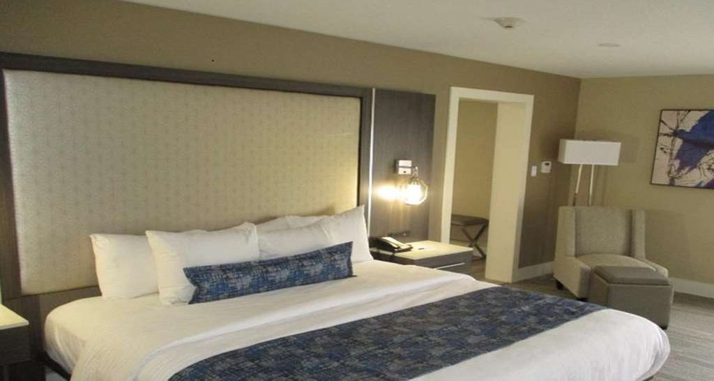 Best Western Plus Greenville I-385 Inn & Suites Номер фото